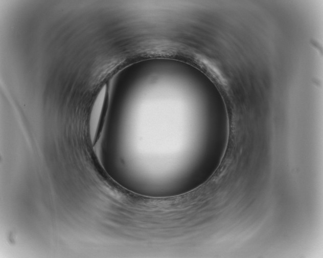 X0000096470017200802071907