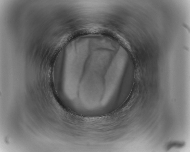 X0000096470018200802071907