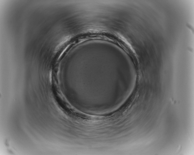 X0000096470019200802071907