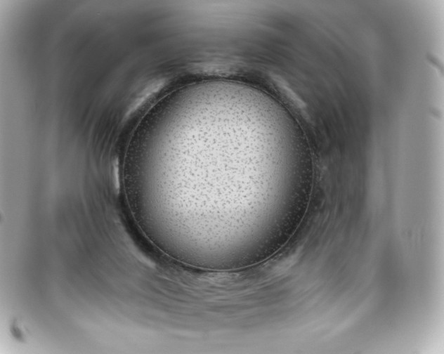 X0000096470020200802071907