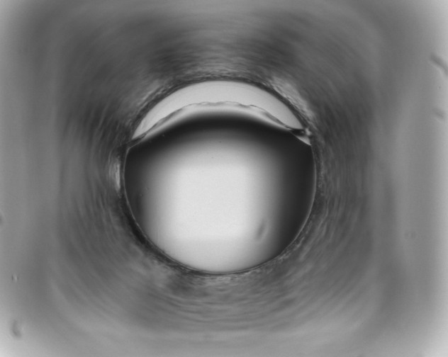 X0000096470021200802071907