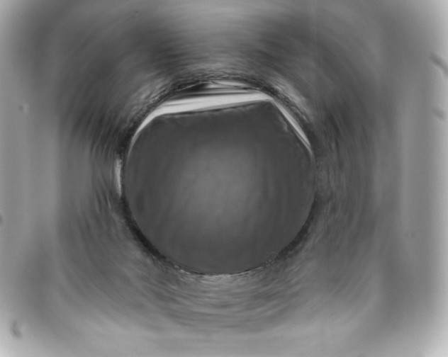 X0000096470022200802071907