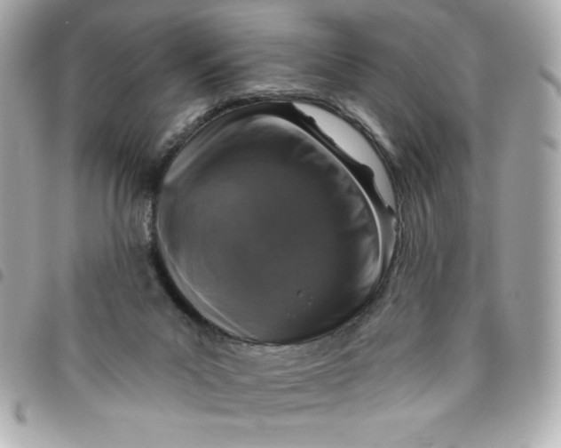 X0000096470023200802071907