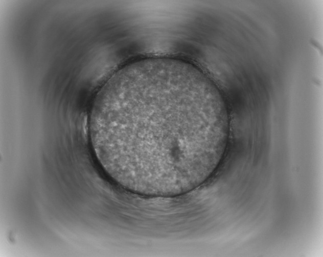 X0000096470024200802071907