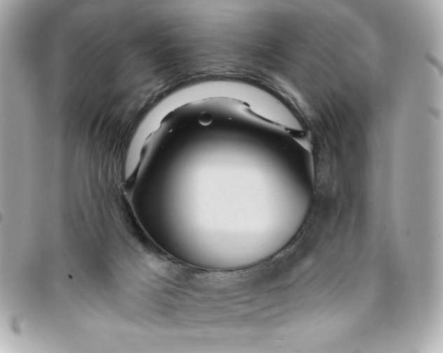 X0000096470025200802071907