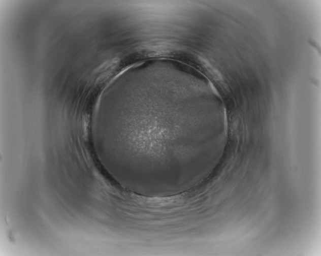 X0000096470026200802071907