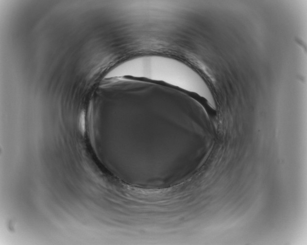 X0000096470027200802071907