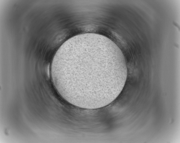 X0000096470028200802071907