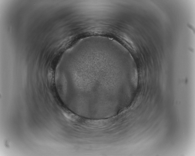 X0000096470029200802071907