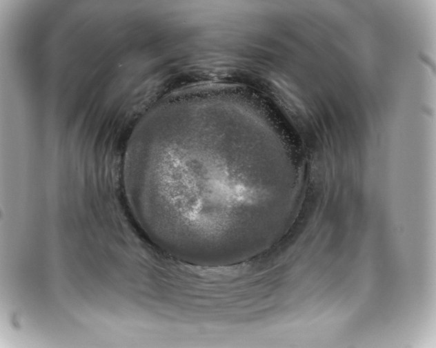 X0000096470030200802071907