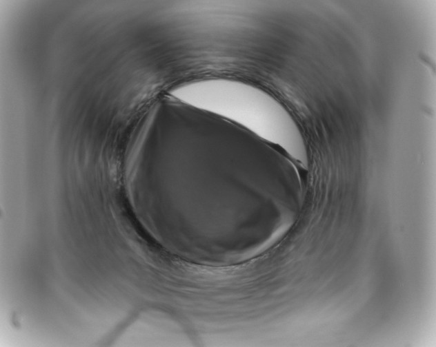 X0000096470031200802071907