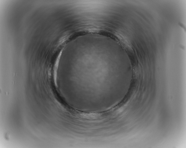 X0000096470032200802071907