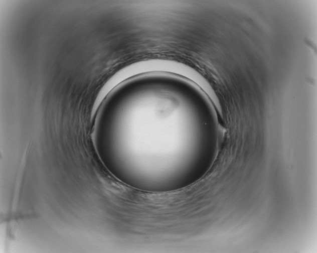 X0000096470033200802071907