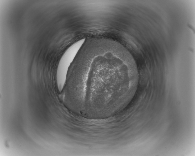 X0000096470034200802071907