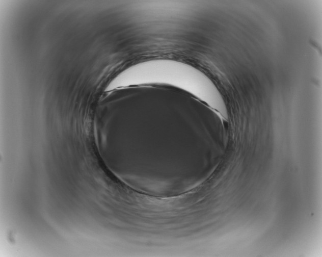 X0000096470035200802071907