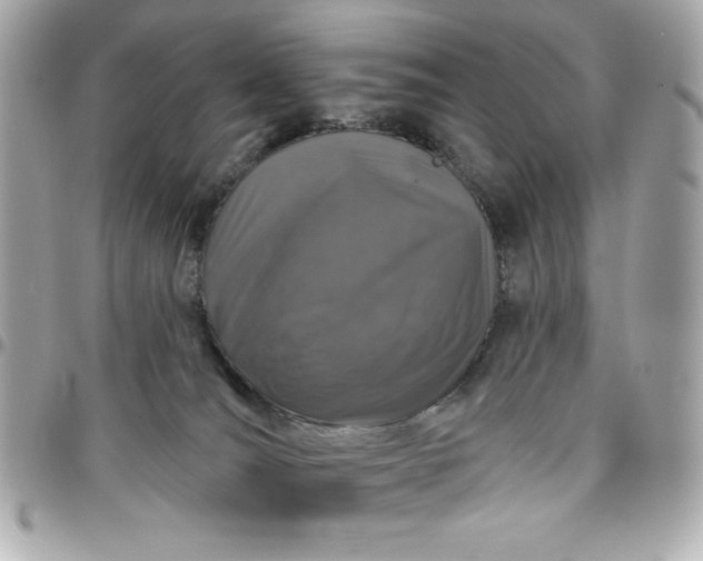 X0000096470036200802071907