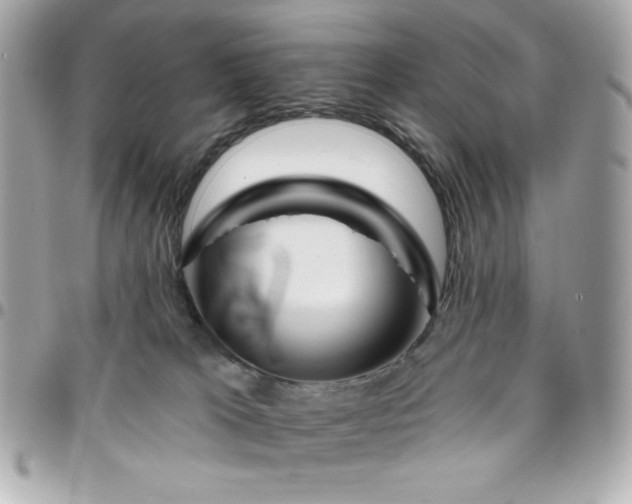 X0000096470037200802071907