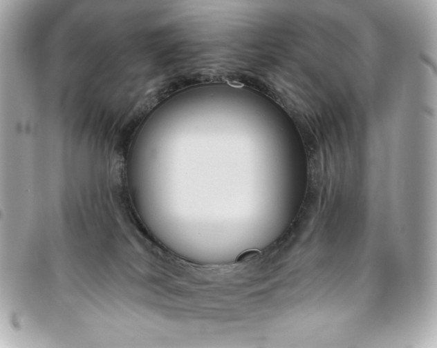 X0000096470038200802071907