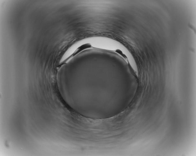 X0000096470039200802071907