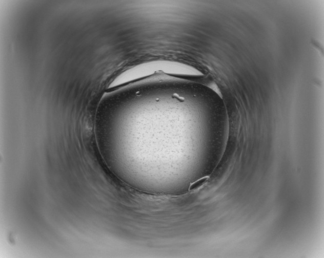 X0000096470040200802071907