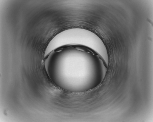 X0000096470041200802071907