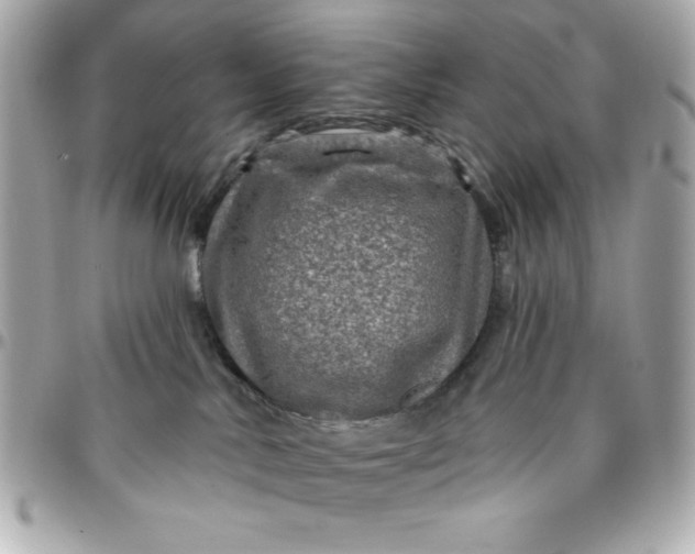 X0000096470042200802071906