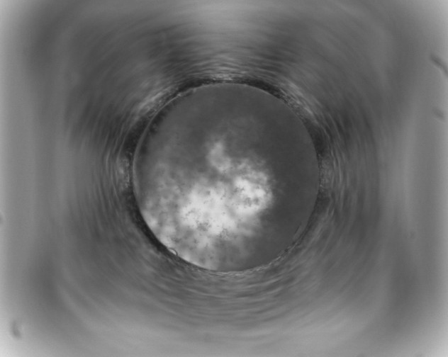 X0000096470043200802071906