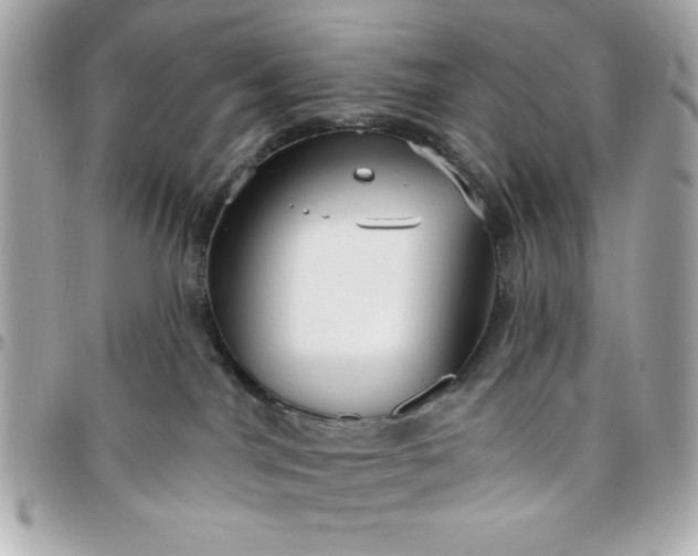 X0000096470044200802071906