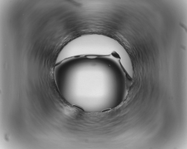 X0000096470045200802071906