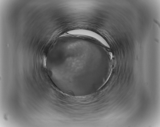 X0000096470046200802071906