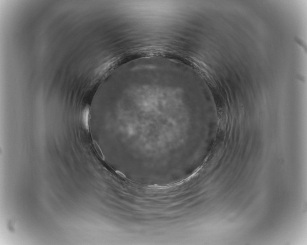 X0000096470047200802071906