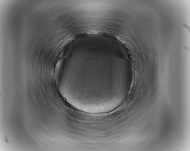 X0000096470048200802071906