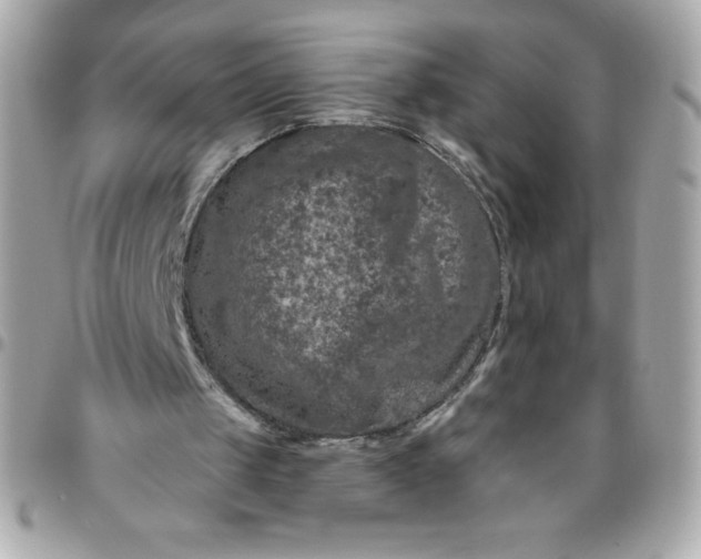 X0000096470049200802071906