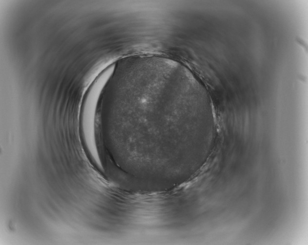 X0000096470052200802071906