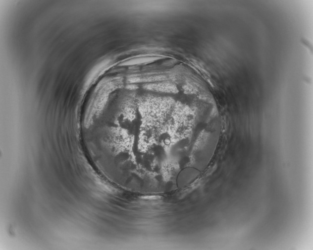 X0000096470053200802071906