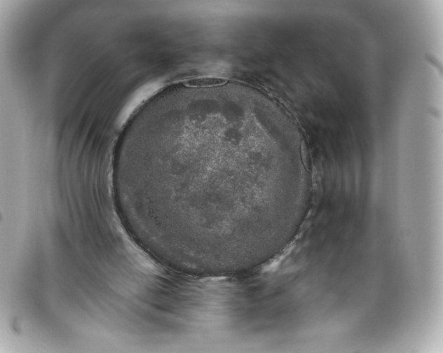 X0000096470054200802071906