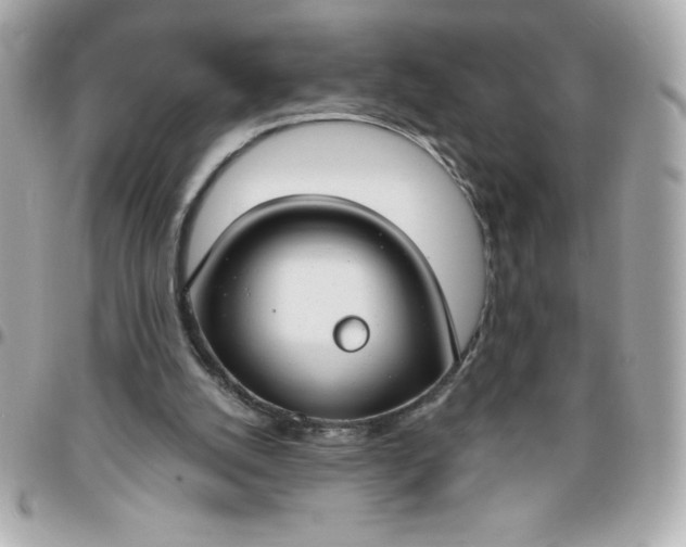 X0000096470056200802071906