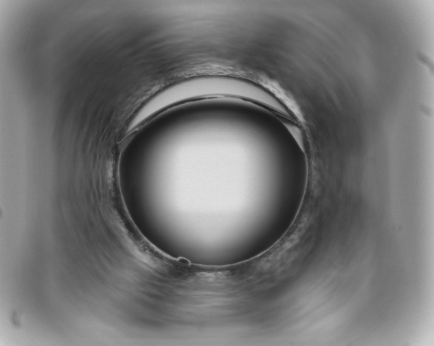 X0000096470057200802071906