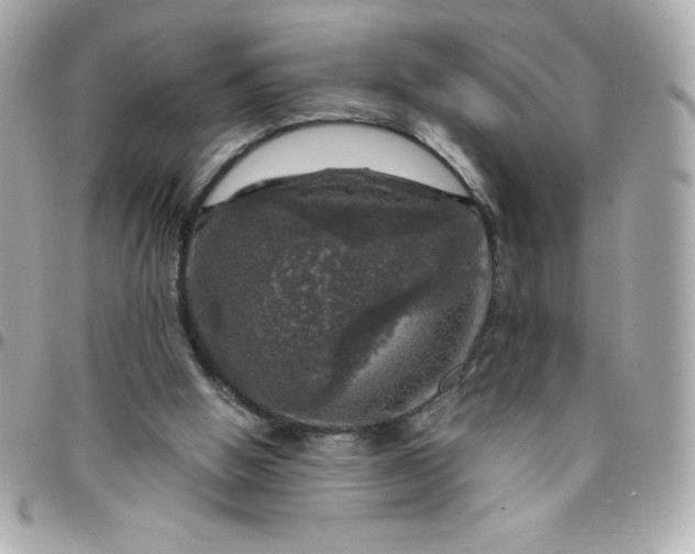 X0000096470058200802071906