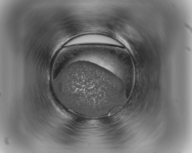 X0000096470059200802071906