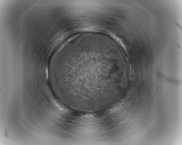 X0000096470061200802071906