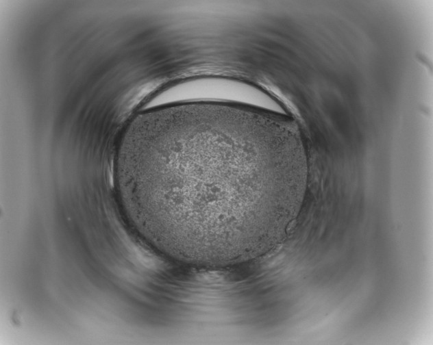 X0000096470062200802071906