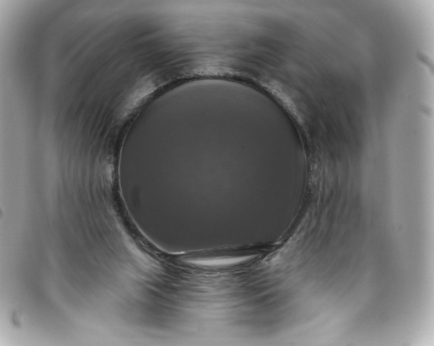 X0000096470063200802071906