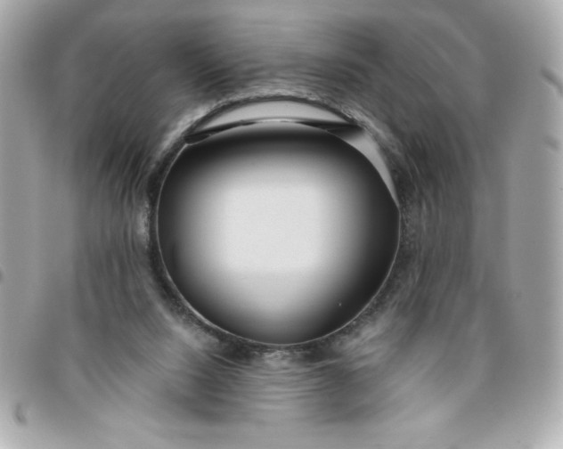 X0000096470064200802071906