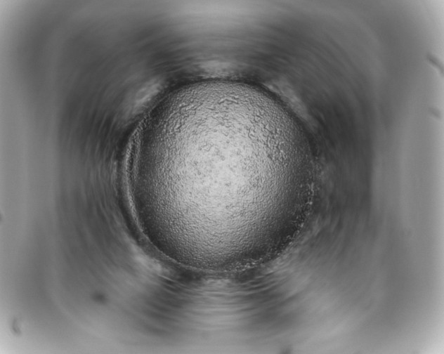 X0000096470066200802071906