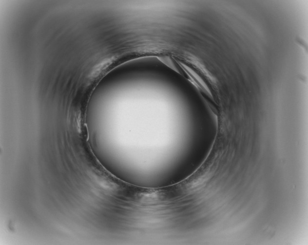 X0000096470068200802071906