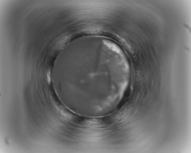 X0000096470069200802071906