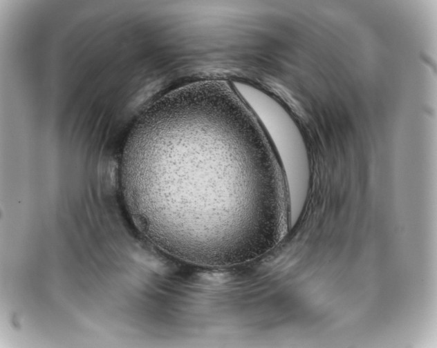 X0000096470071200802071906