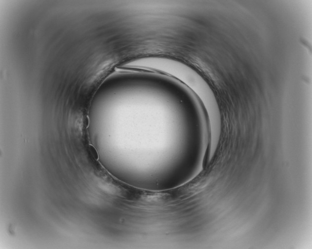 X0000096470072200802071906