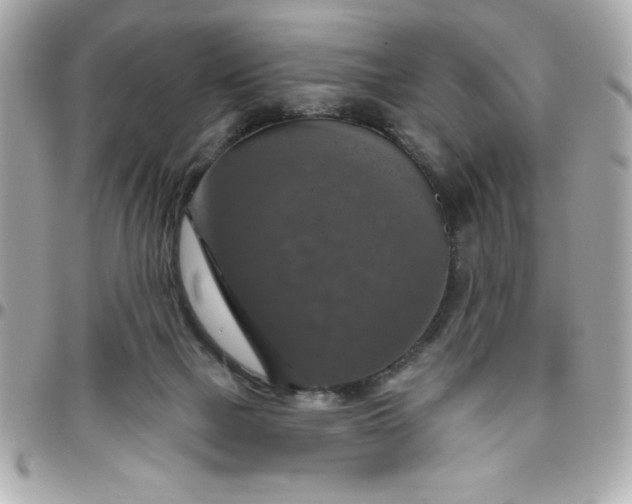 X0000096470073200802071906